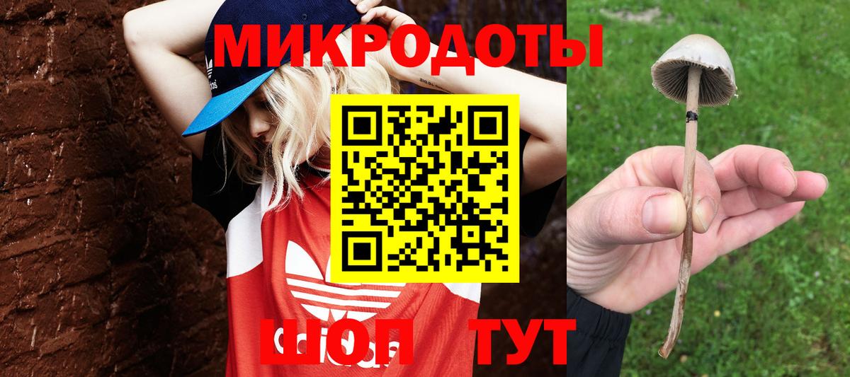 Псилоцибиновые грибы Psilocybe  Вход с VPN  Чайковский  Псилоцибиновые грибы мухоморы 