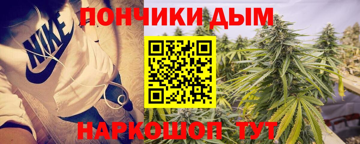 МАРИХУАНА семена Чайковский